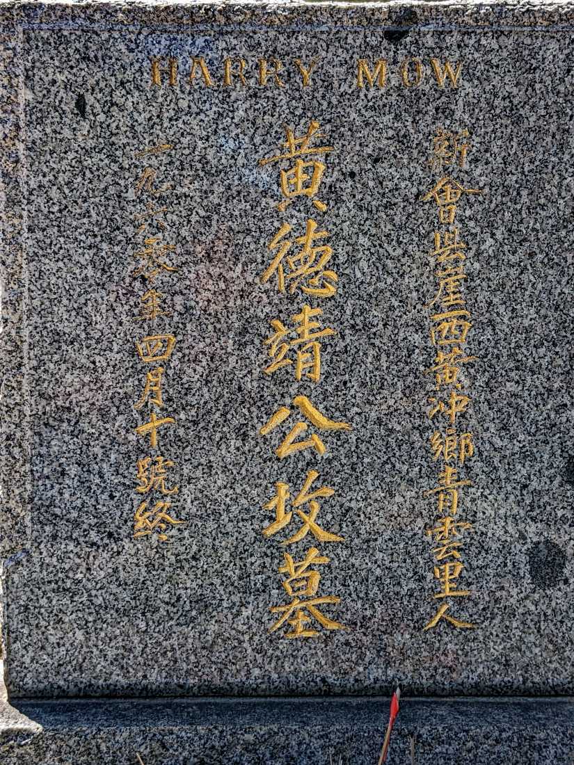 Harry Mow Wong / 黃 德靖