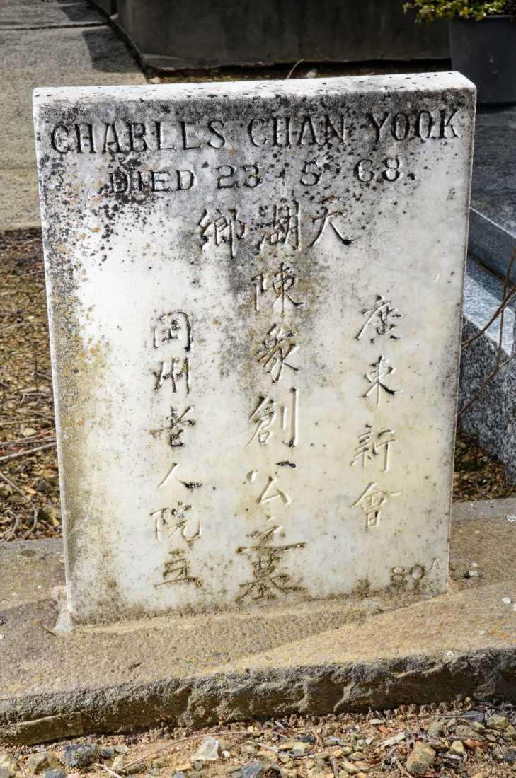 Charles Chan Yook / 陳彖創