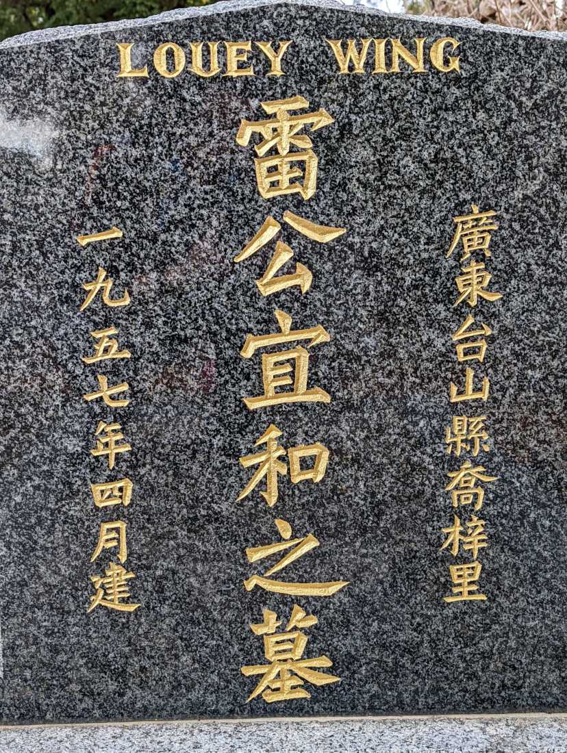 Louey Wing / 雷宜和